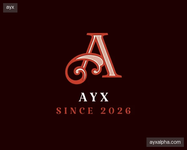 解读ayx集团